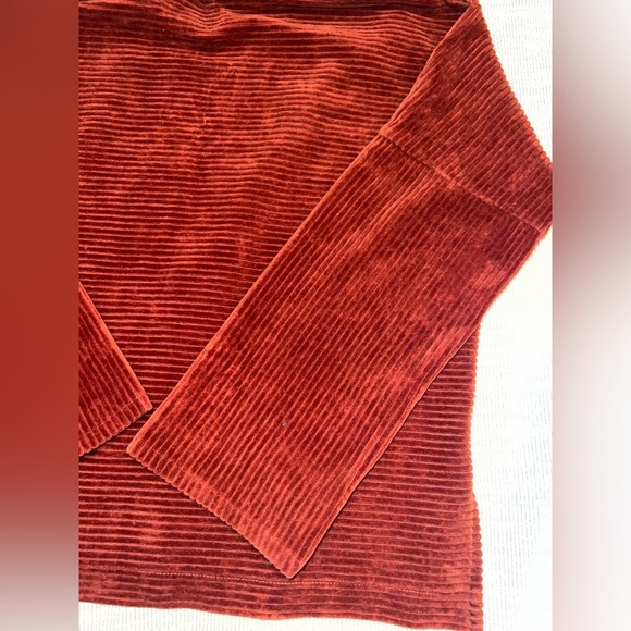 Madewell Texture & Thread Rust Corduroy Mock Neck Top Size S - Picture 7 of 8